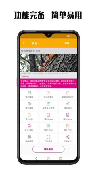 数图4