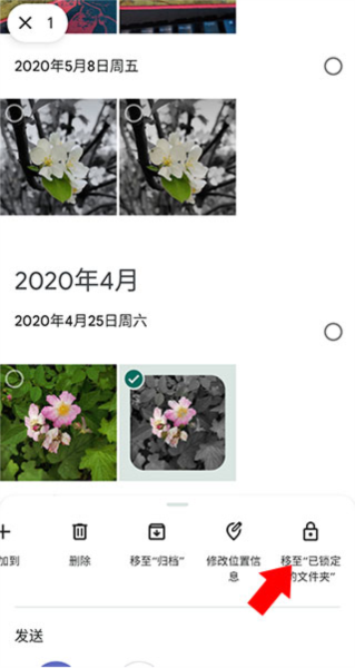 Google相册APP图片12