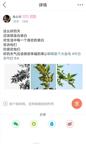 自贡在线4