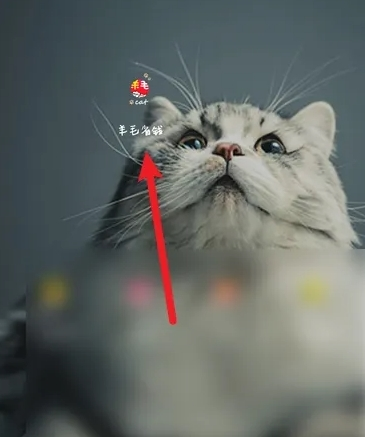 羊毛省钱查找无效的返利图片1