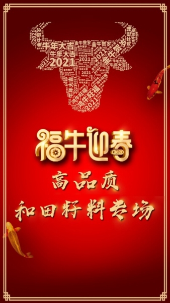 爱籽玉拍卖图片
