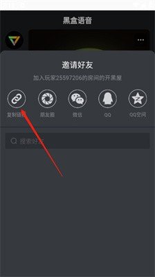 黑盒语音图片9