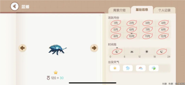 心动小镇图片25