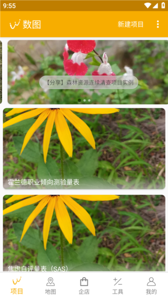 数图5