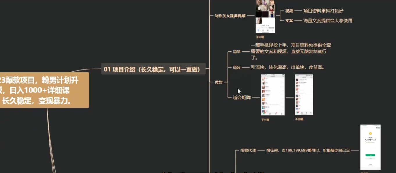  男粉计划升级版，日入 1000+ 详细课程，长久稳定，变现暴力