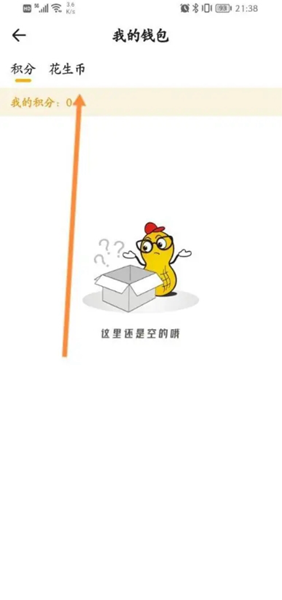 花生FM图8
