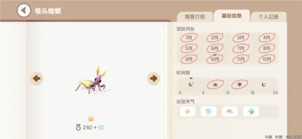 心动小镇图片29