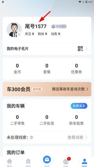 车300专业版图片11