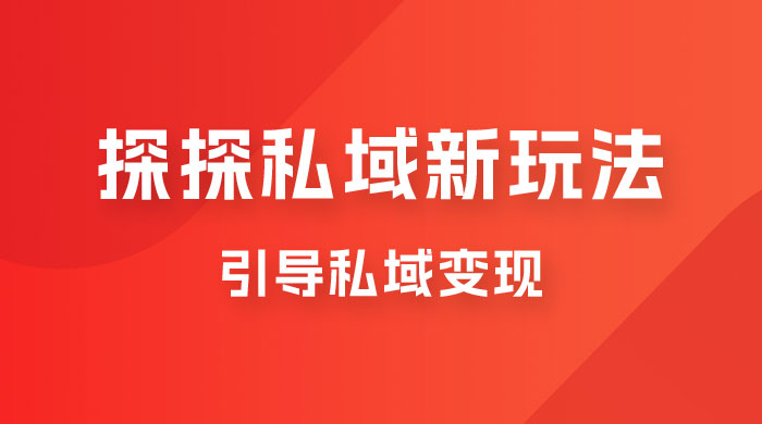 探探私域新玩法，引导私域变现，一部手机日入 500+ 很轻松