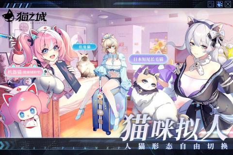 猫之城华为版图片