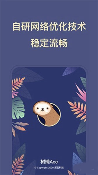 树懒Acc图片2
