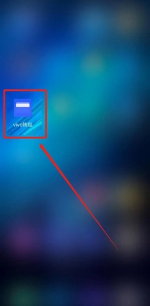 vivo钱包图片19