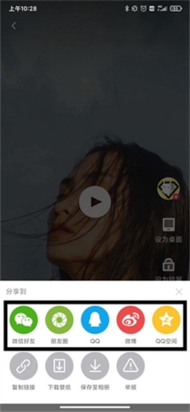 羞兔动态壁纸10