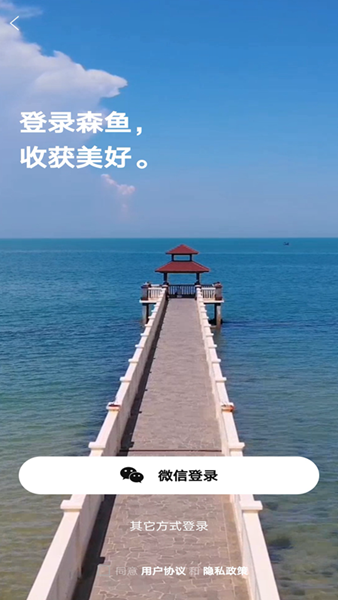 森鱼app图片1