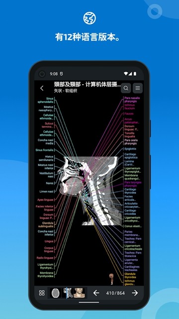 e-Anatomy图片4