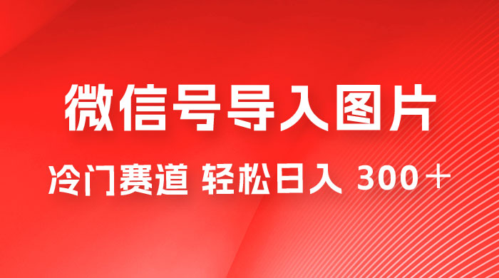 微信号导入图片项目，冷门赛道，一单 66  ，轻松日入 300＋