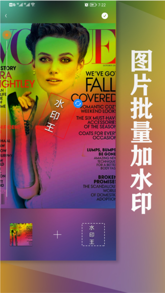 水印王图片1
