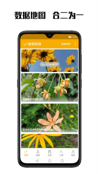 数图3