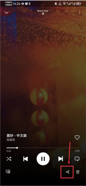 Spotify图片7