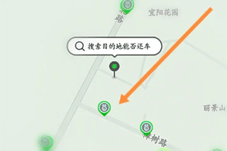 喵走出行图片12