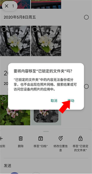 Google相册APP图片13