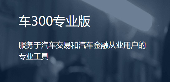 车300专业版图片1
