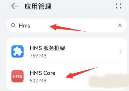 HMS Core打开权限图片4