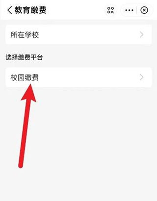 学安宝缴学费图片