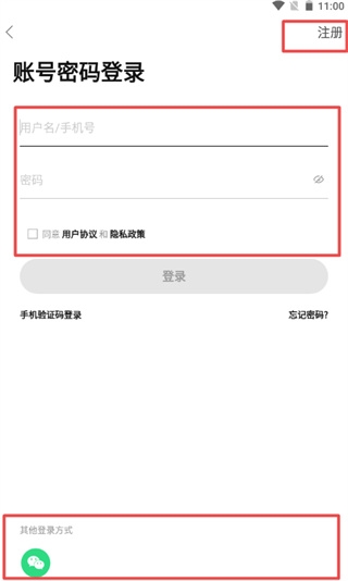 蒲公英访问者4