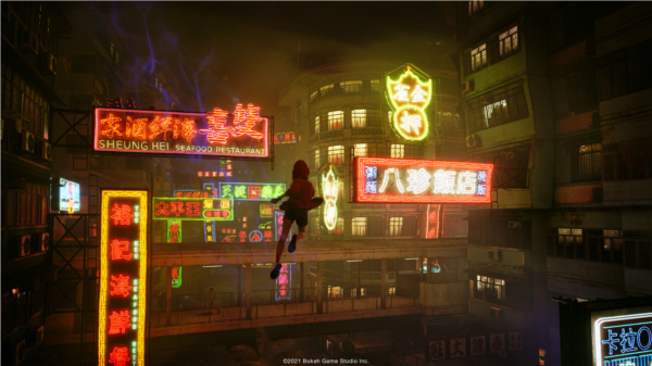 野狗子图片2