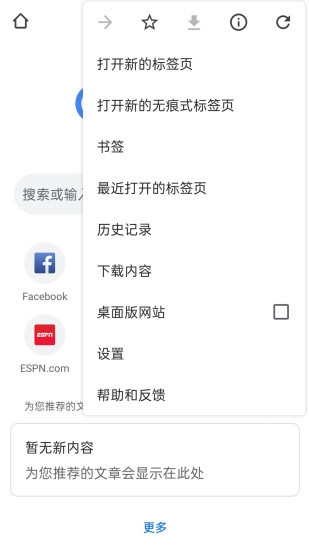 Google Chrome图片4