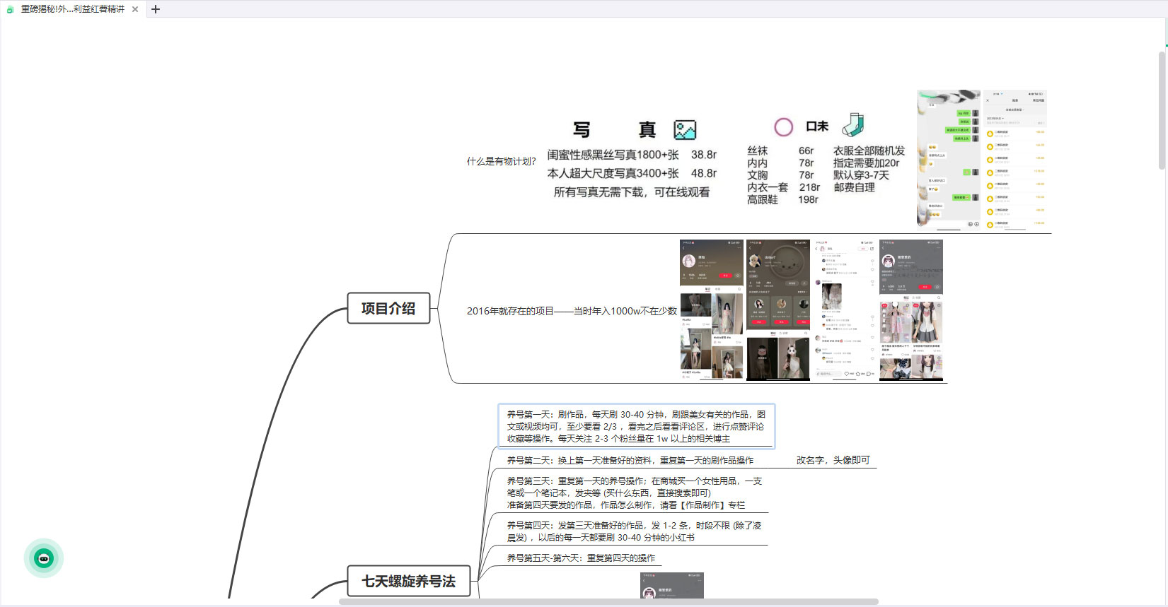 重磅揭秘：外面收费 2980 的小红书有物计划精讲「人性利益」一部手机变现 500+ 