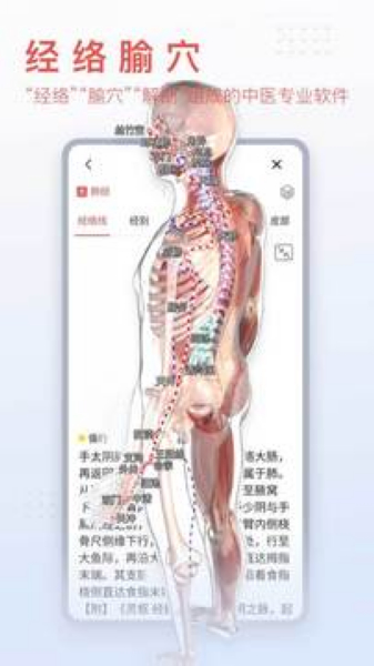 3Dbody解剖图片
