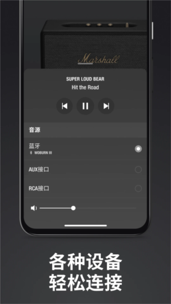 Marshall Bluetooth图5