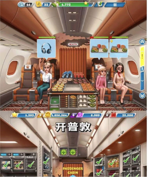 飞机大厨图片8