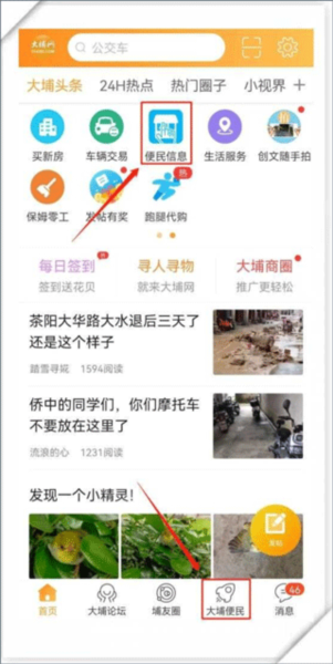 大埔网2