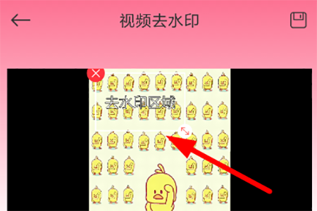 去水印秀6
