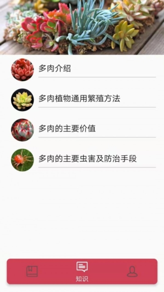 多肉花草日记图片2