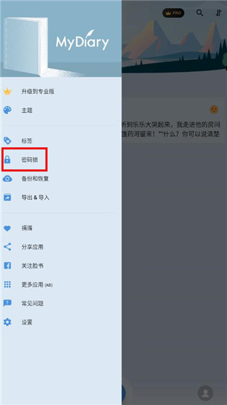我的日记11