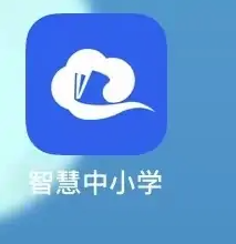 智慧中小学教育平台图片23