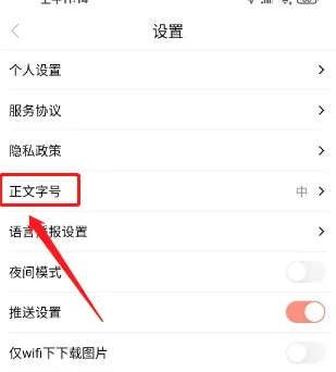 魅力安定设置正文字号图片2