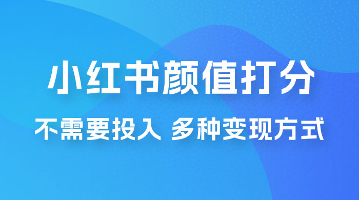 小红书颜值打分新玩法，不需要投入，适合所有人的一份副业，多种变现方式！