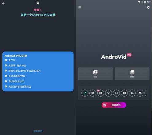 AndroVid Pro图片1