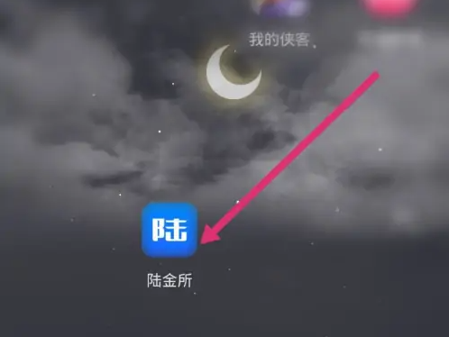陆金所11